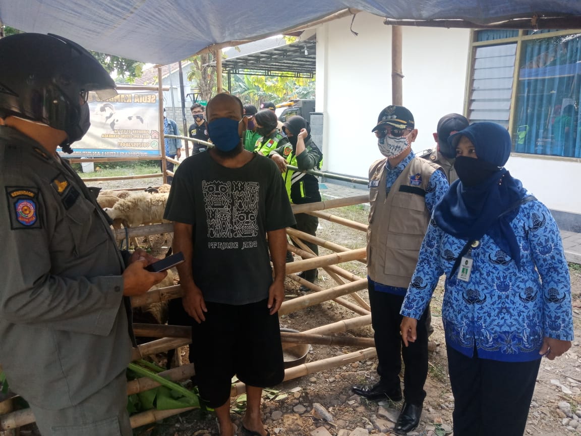 Monitoring Pedagang Hewan Qurban di Kelurahan Purbayan